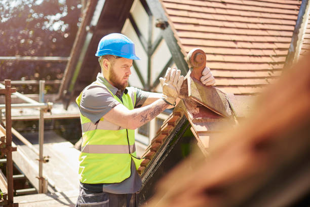 Roof Gutter Cleaning in Oak Lawn, IL