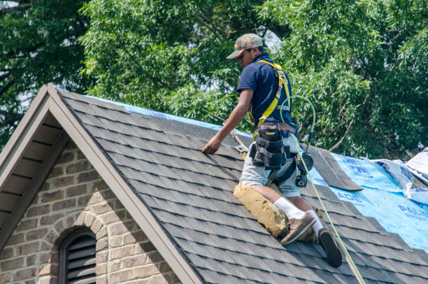 Best Storm Damage Roof Repair  in Oak Lawn, IL